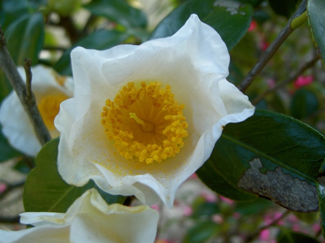 PICT4510.JPG