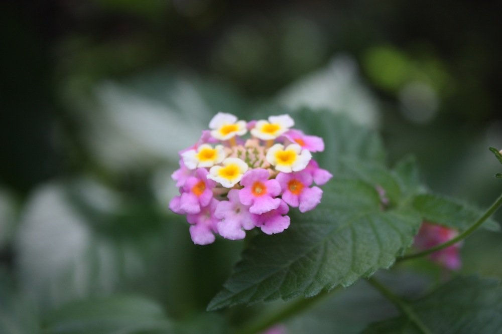 2013-09-10 12.35.25.jpg