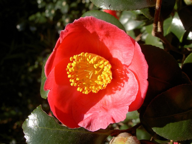PICT4480.JPG