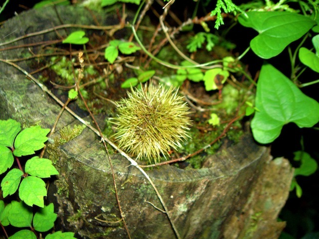 PICT3156.JPG