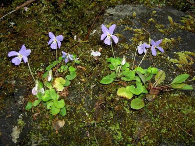 PICT4738.JPG
