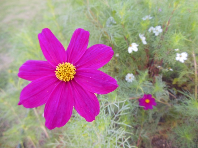 2012-10-12 06.41.36.jpg
