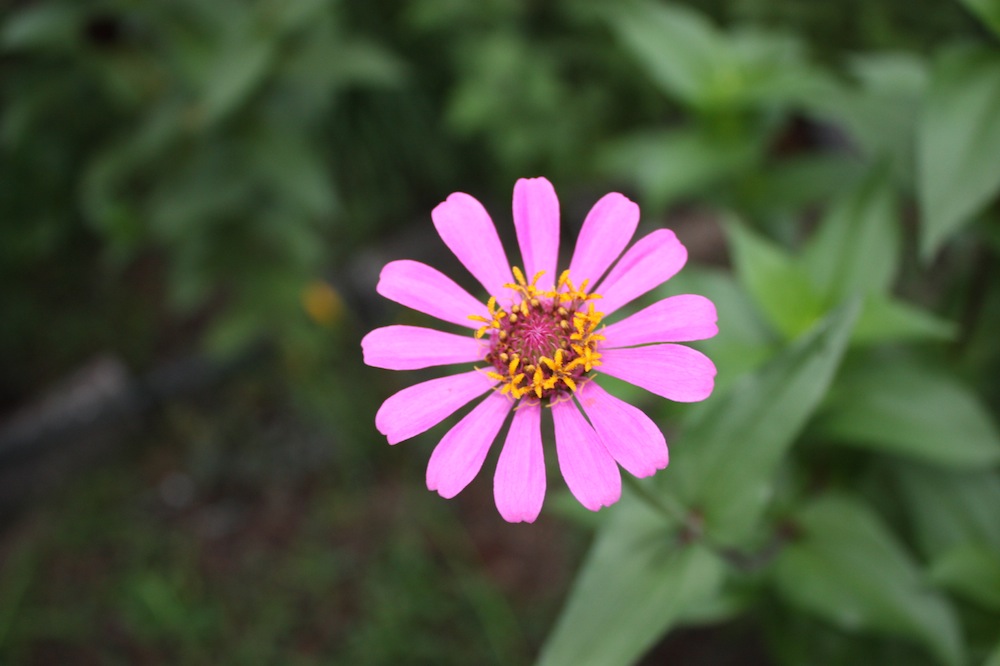 2013-09-08 06.33.52.jpg
