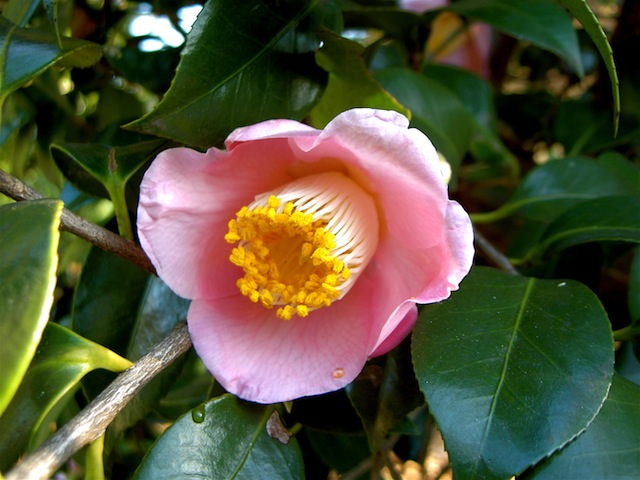 PICT4482.JPG