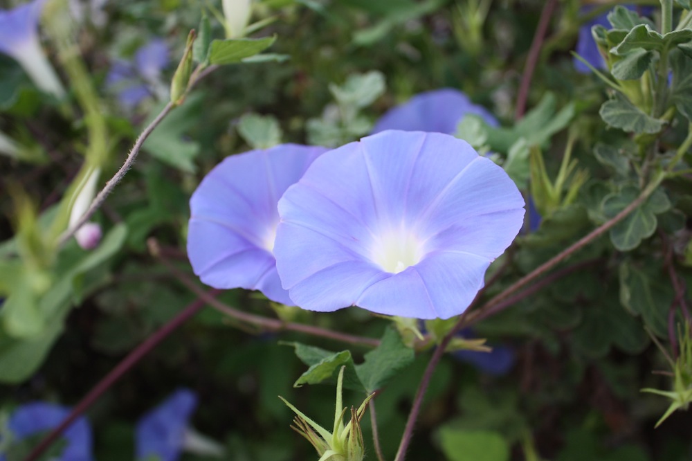 2013-09-14 06.32.19.jpg